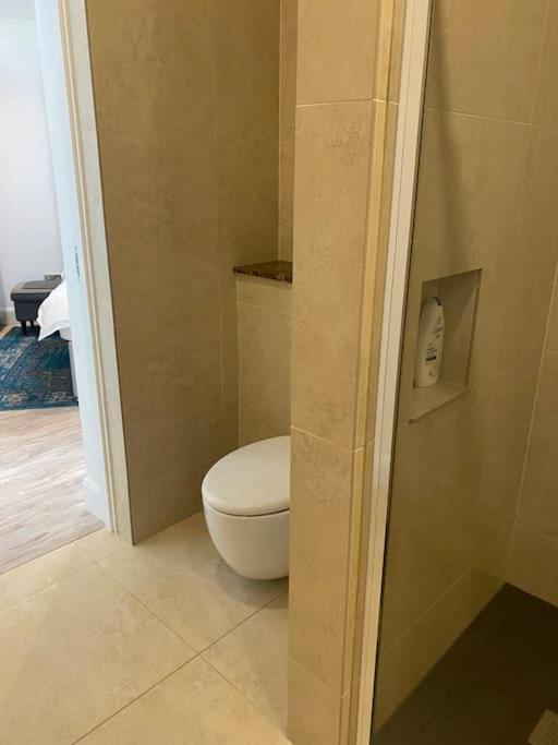 Beautiful Garden Apartment With Private Patio And Garden View Dublin Zewnętrze zdjęcie