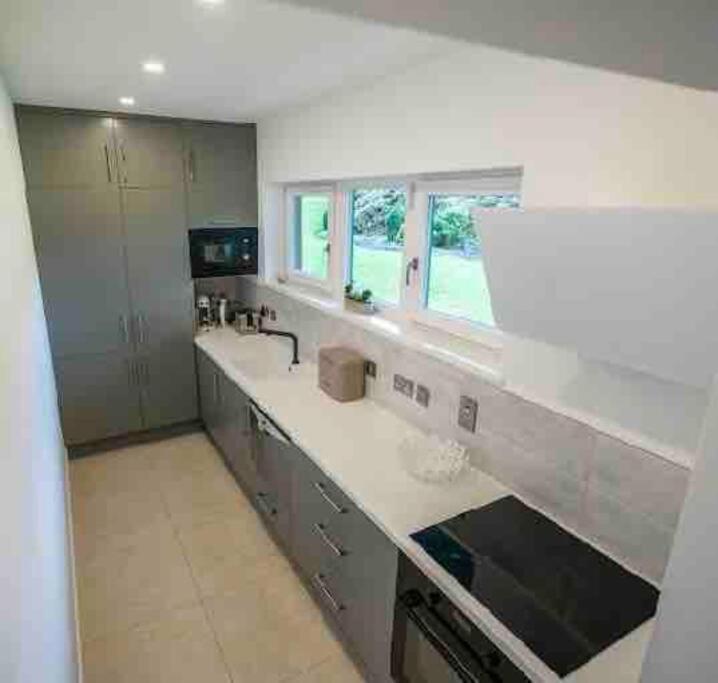 Beautiful Garden Apartment With Private Patio And Garden View Dublin Zewnętrze zdjęcie