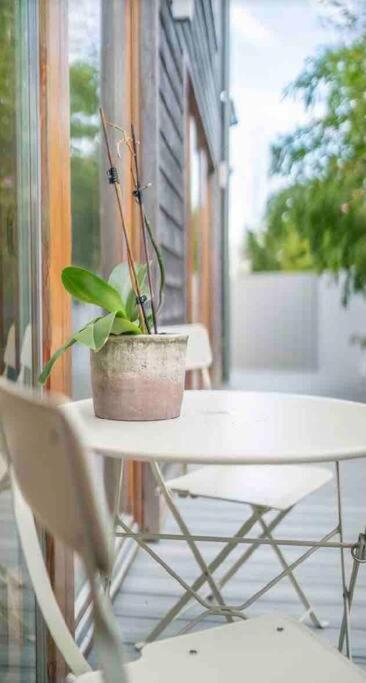 Beautiful Garden Apartment With Private Patio And Garden View Dublin Zewnętrze zdjęcie